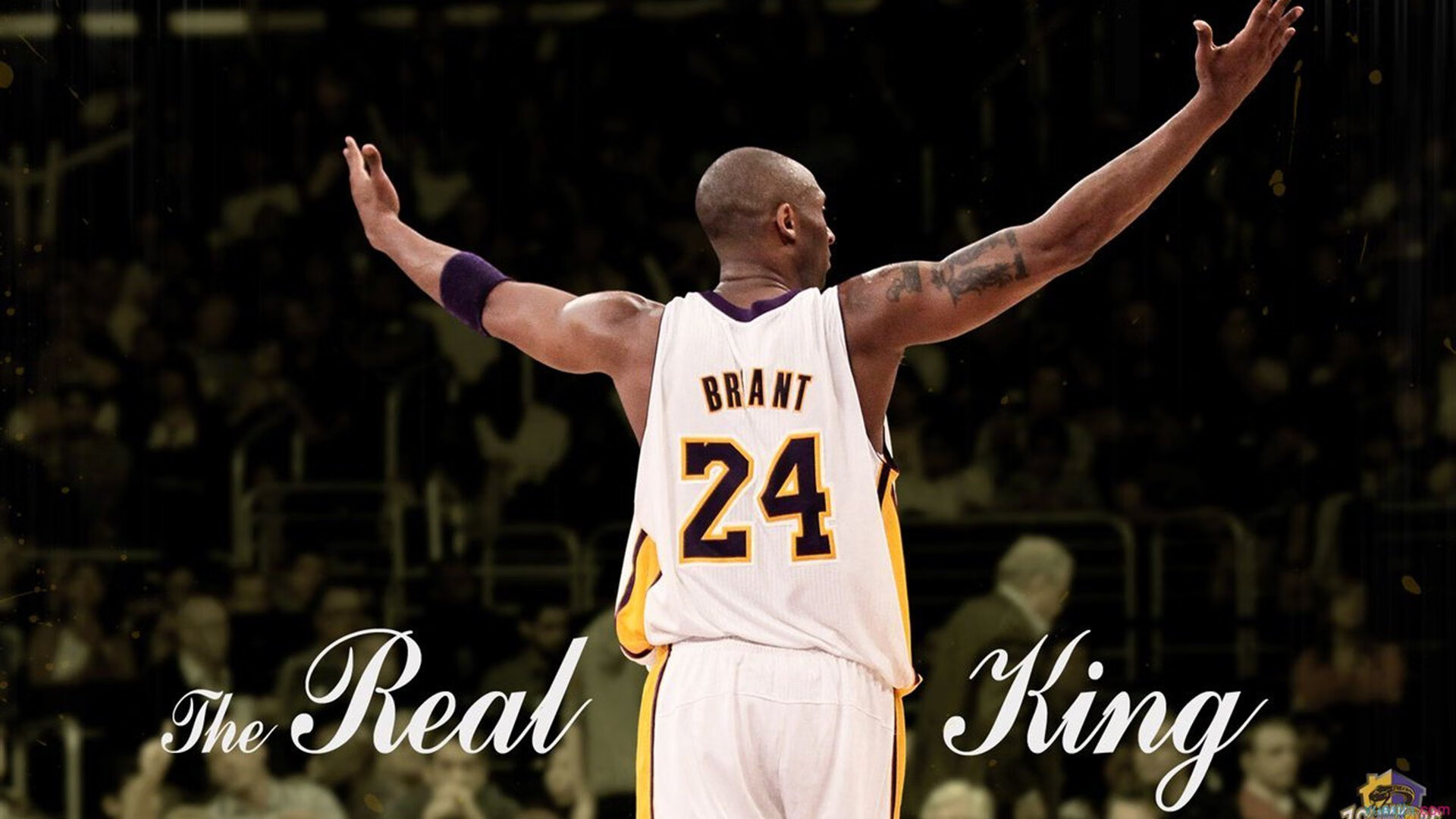 JiuyouAPP下载-骑士发布球员故事片记录成长历程，骑士全部球员